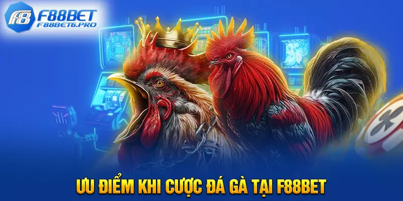 Ưu điểm khi cược đá gà tại F88BET